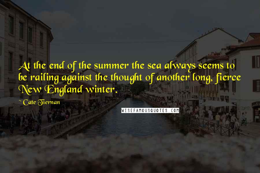 Cate Tiernan Quotes: At the end of the summer the sea always seems to be railing against the thought of another long, fierce New England winter.