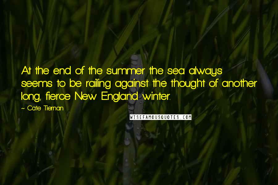 Cate Tiernan Quotes: At the end of the summer the sea always seems to be railing against the thought of another long, fierce New England winter.