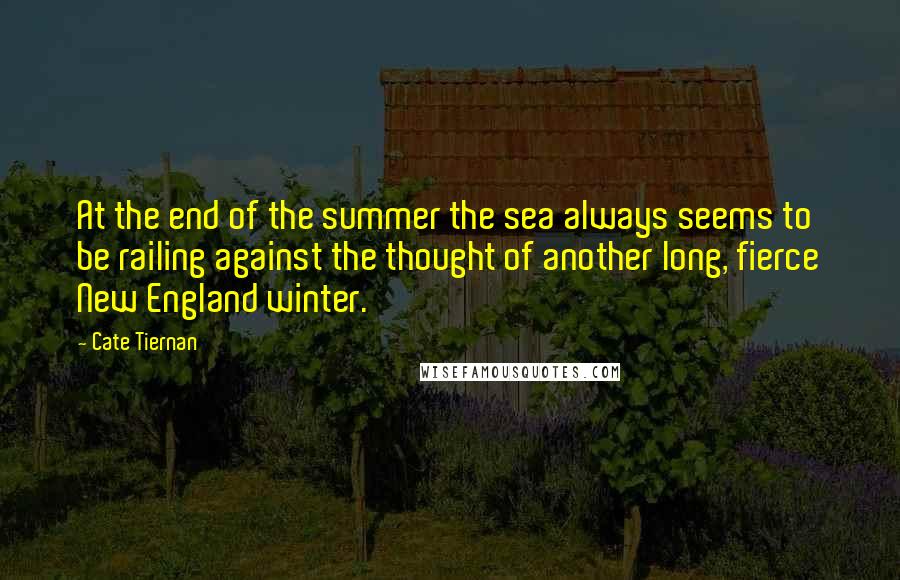 Cate Tiernan Quotes: At the end of the summer the sea always seems to be railing against the thought of another long, fierce New England winter.