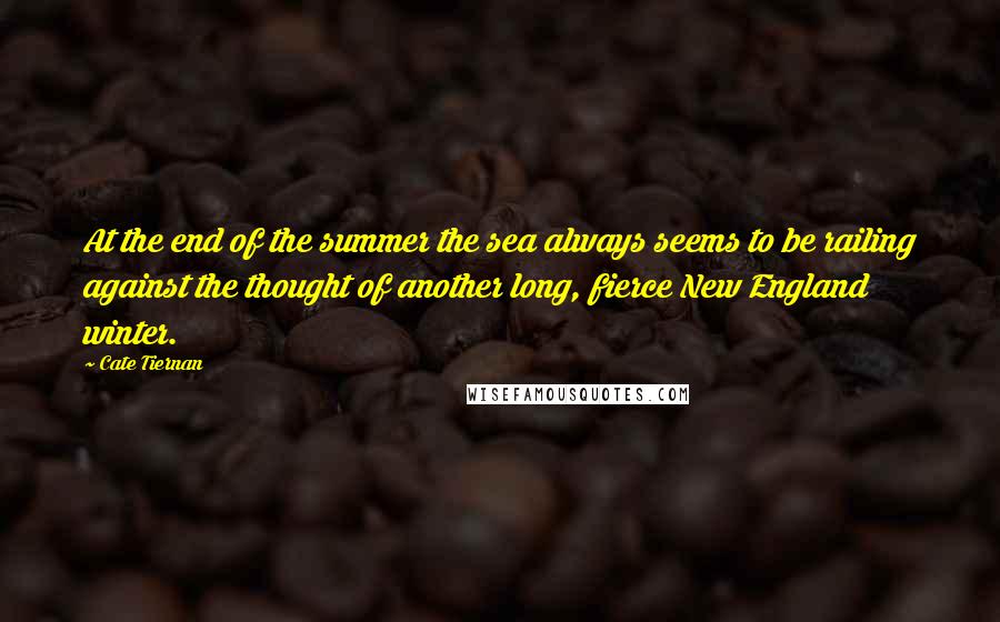 Cate Tiernan Quotes: At the end of the summer the sea always seems to be railing against the thought of another long, fierce New England winter.