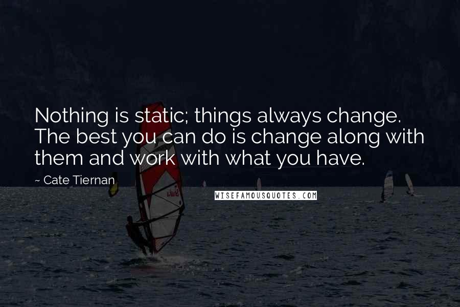Cate Tiernan Quotes: Nothing is static; things always change. The best you can do is change along with them and work with what you have.