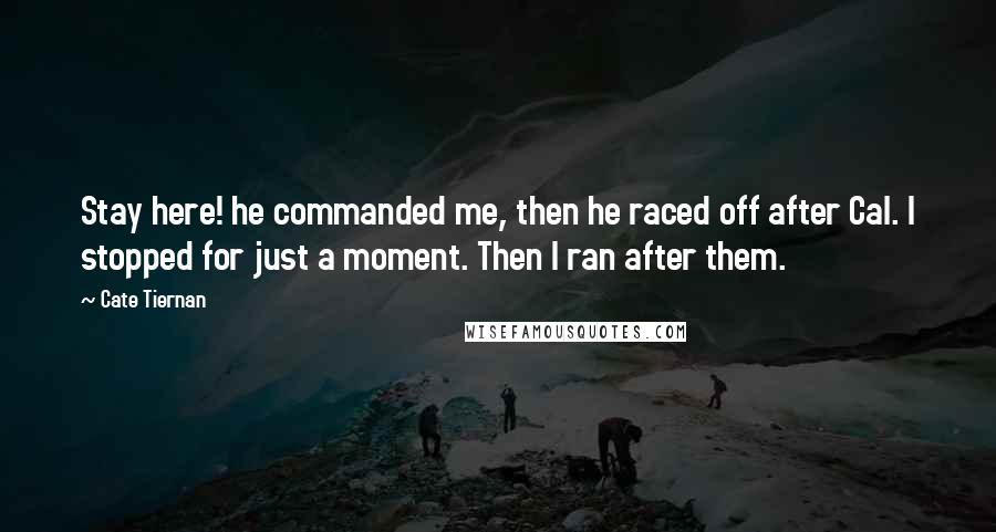 Cate Tiernan Quotes: Stay here! he commanded me, then he raced off after Cal. I stopped for just a moment. Then I ran after them.