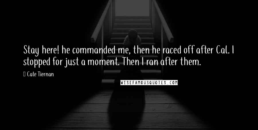 Cate Tiernan Quotes: Stay here! he commanded me, then he raced off after Cal. I stopped for just a moment. Then I ran after them.