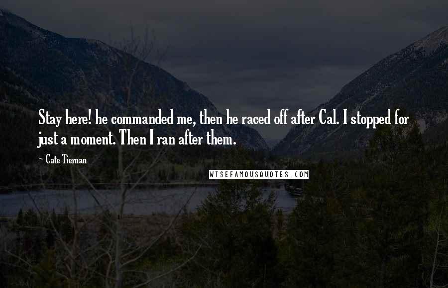 Cate Tiernan Quotes: Stay here! he commanded me, then he raced off after Cal. I stopped for just a moment. Then I ran after them.