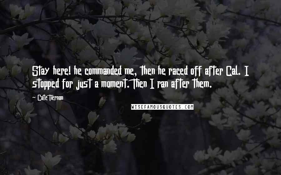 Cate Tiernan Quotes: Stay here! he commanded me, then he raced off after Cal. I stopped for just a moment. Then I ran after them.