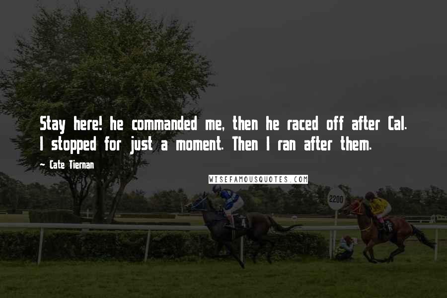 Cate Tiernan Quotes: Stay here! he commanded me, then he raced off after Cal. I stopped for just a moment. Then I ran after them.