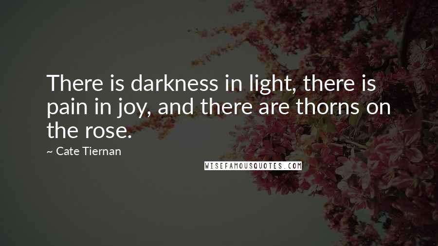 Cate Tiernan Quotes: There is darkness in light, there is pain in joy, and there are thorns on the rose.
