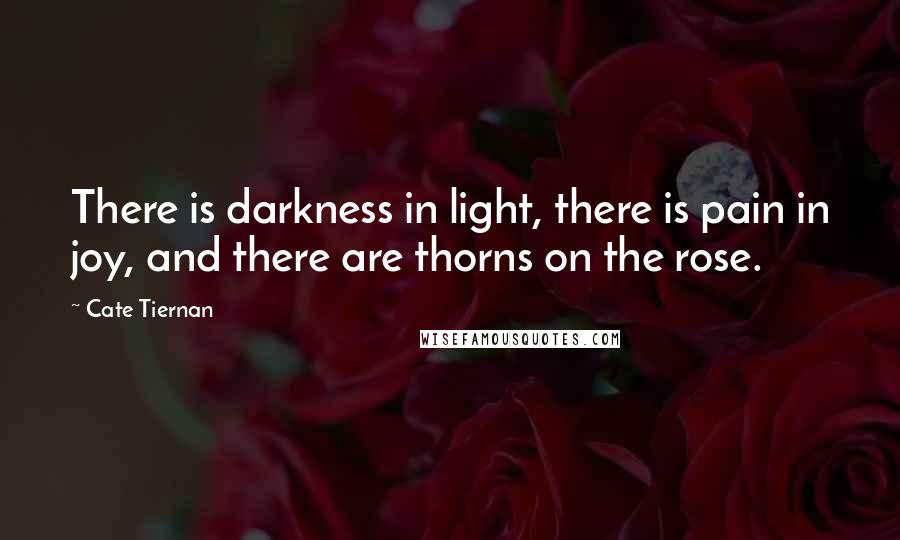 Cate Tiernan Quotes: There is darkness in light, there is pain in joy, and there are thorns on the rose.