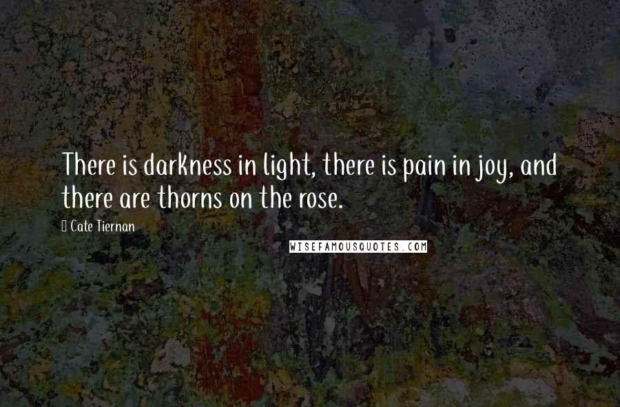 Cate Tiernan Quotes: There is darkness in light, there is pain in joy, and there are thorns on the rose.