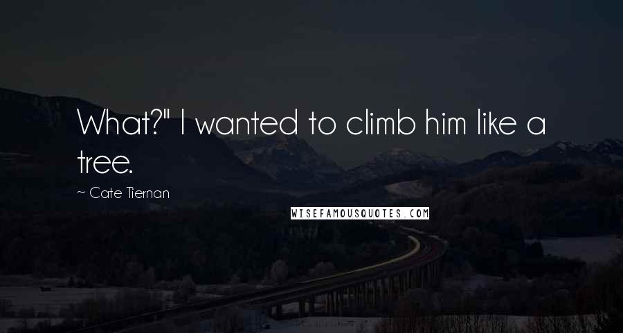Cate Tiernan Quotes: What?" I wanted to climb him like a tree.