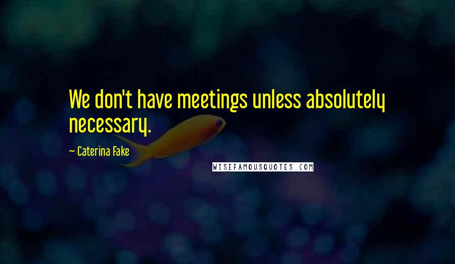 Caterina Fake Quotes: We don't have meetings unless absolutely necessary.