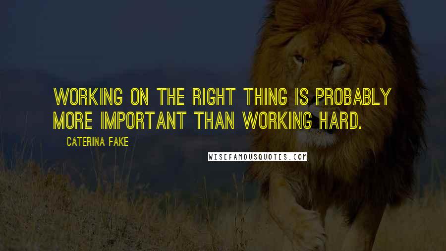 Caterina Fake Quotes: Working on the right thing is probably more important than working hard.
