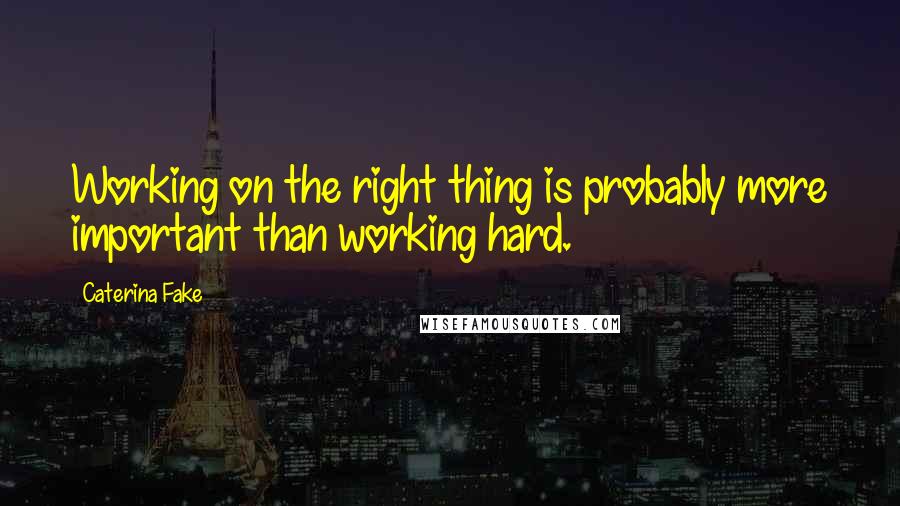 Caterina Fake Quotes: Working on the right thing is probably more important than working hard.