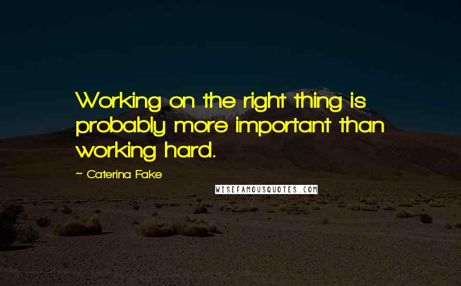 Caterina Fake Quotes: Working on the right thing is probably more important than working hard.