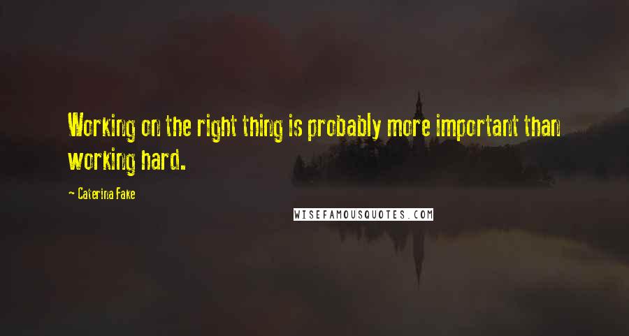 Caterina Fake Quotes: Working on the right thing is probably more important than working hard.