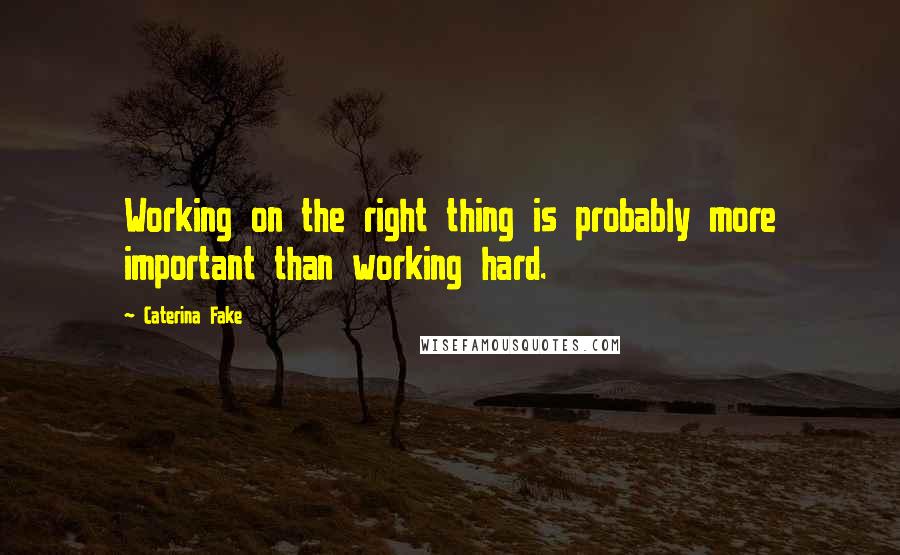 Caterina Fake Quotes: Working on the right thing is probably more important than working hard.