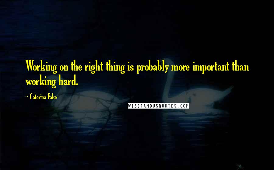 Caterina Fake Quotes: Working on the right thing is probably more important than working hard.