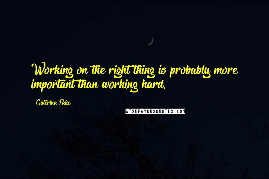 Caterina Fake Quotes: Working on the right thing is probably more important than working hard.