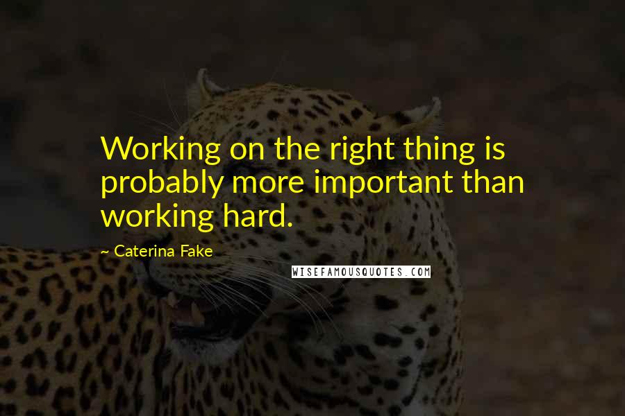 Caterina Fake Quotes: Working on the right thing is probably more important than working hard.