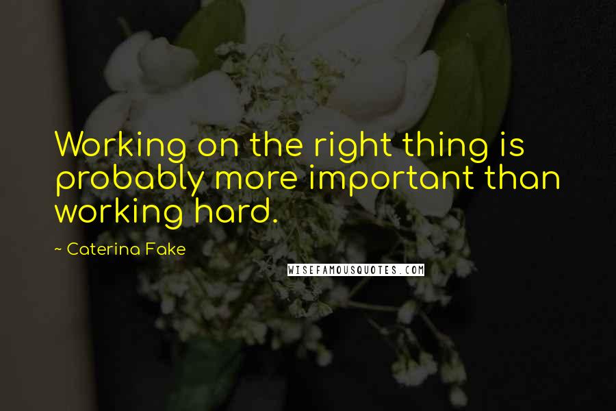 Caterina Fake Quotes: Working on the right thing is probably more important than working hard.