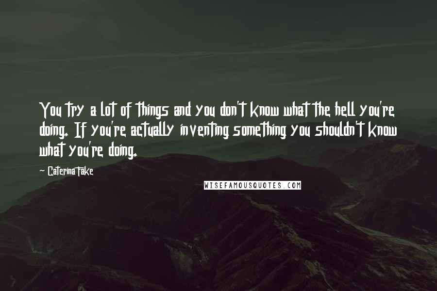 Caterina Fake Quotes: You try a lot of things and you don't know what the hell you're doing. If you're actually inventing something you shouldn't know what you're doing.