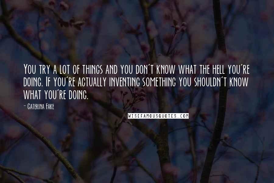 Caterina Fake Quotes: You try a lot of things and you don't know what the hell you're doing. If you're actually inventing something you shouldn't know what you're doing.