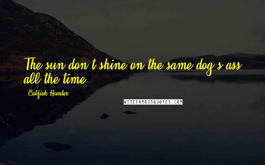 Catfish Hunter Quotes: The sun don't shine on the same dog's ass all the time.