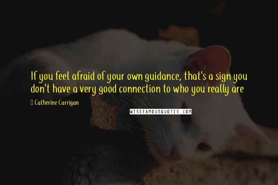 Catherine Carrigan Quotes: If you feel afraid of your own guidance, that's a sign you don't have a very good connection to who you really are