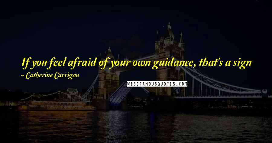 Catherine Carrigan Quotes: If you feel afraid of your own guidance, that's a sign you don't have a very good connection to who you really are