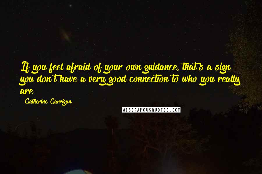 Catherine Carrigan Quotes: If you feel afraid of your own guidance, that's a sign you don't have a very good connection to who you really are