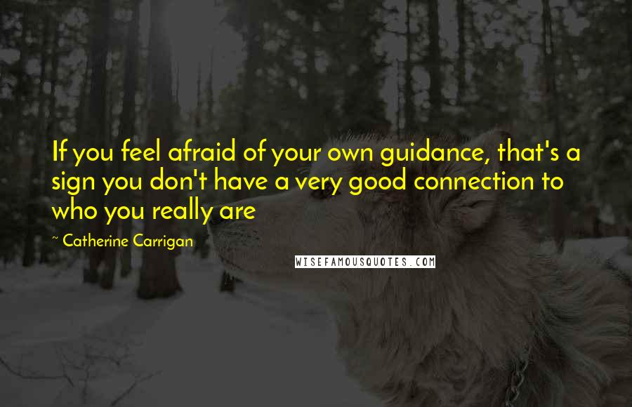 Catherine Carrigan Quotes: If you feel afraid of your own guidance, that's a sign you don't have a very good connection to who you really are