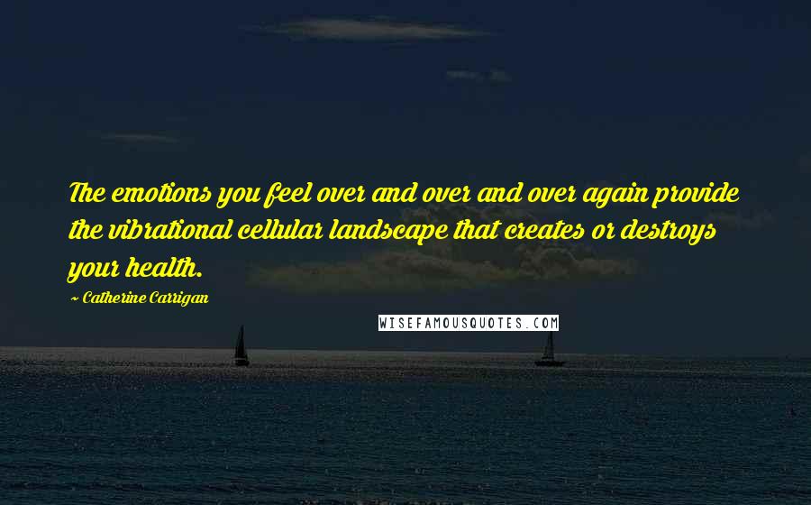 Catherine Carrigan Quotes: The emotions you feel over and over and over again provide the vibrational cellular landscape that creates or destroys your health.