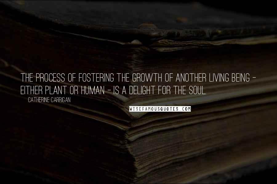 Catherine Carrigan Quotes: The process of fostering the growth of another living being - either plant or human - is a delight for the soul.