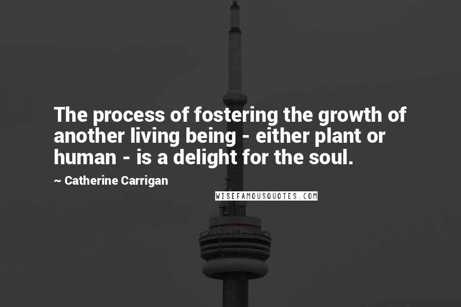 Catherine Carrigan Quotes: The process of fostering the growth of another living being - either plant or human - is a delight for the soul.