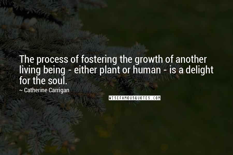 Catherine Carrigan Quotes: The process of fostering the growth of another living being - either plant or human - is a delight for the soul.