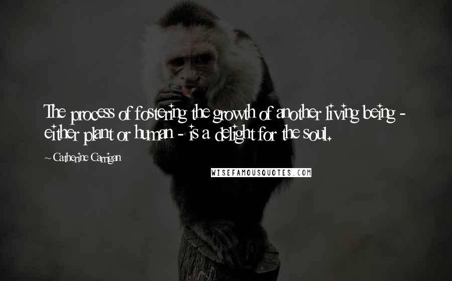 Catherine Carrigan Quotes: The process of fostering the growth of another living being - either plant or human - is a delight for the soul.