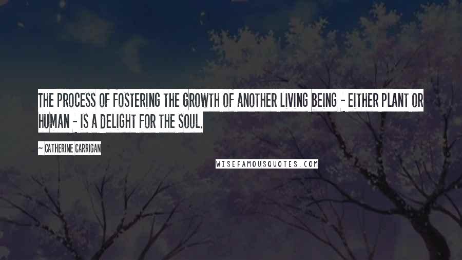 Catherine Carrigan Quotes: The process of fostering the growth of another living being - either plant or human - is a delight for the soul.