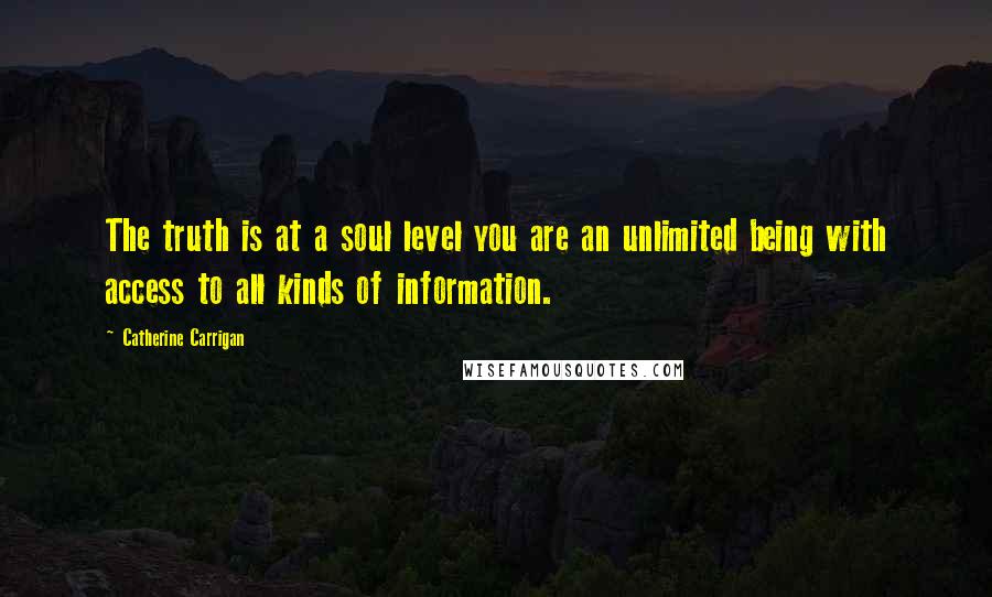 Catherine Carrigan Quotes: The truth is at a soul level you are an unlimited being with access to all kinds of information.