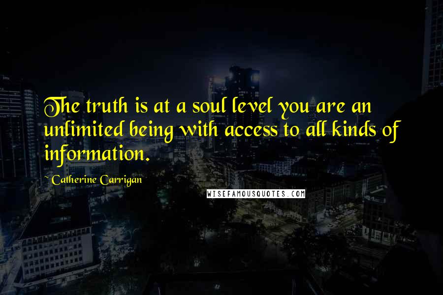 Catherine Carrigan Quotes: The truth is at a soul level you are an unlimited being with access to all kinds of information.