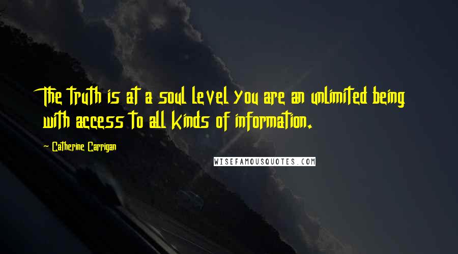 Catherine Carrigan Quotes: The truth is at a soul level you are an unlimited being with access to all kinds of information.