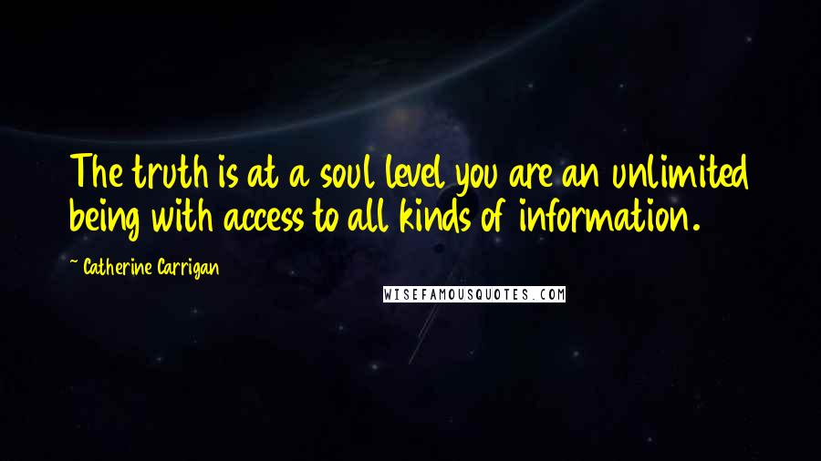 Catherine Carrigan Quotes: The truth is at a soul level you are an unlimited being with access to all kinds of information.