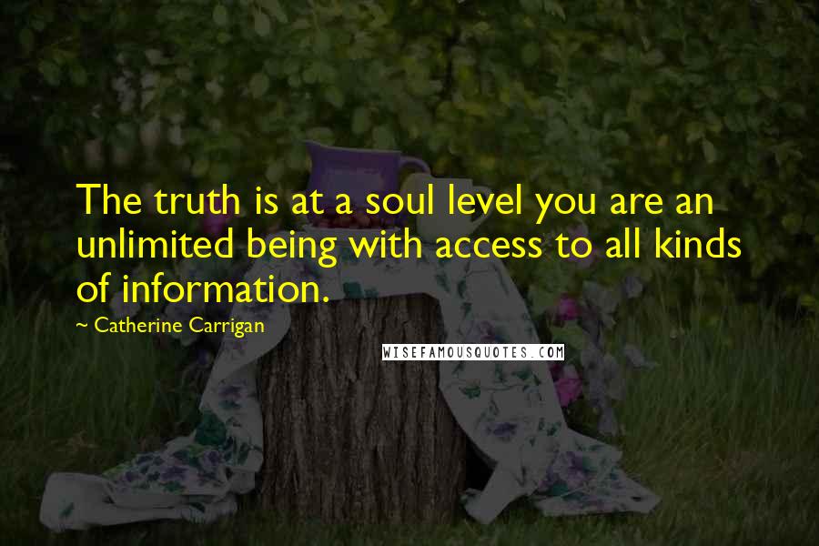 Catherine Carrigan Quotes: The truth is at a soul level you are an unlimited being with access to all kinds of information.