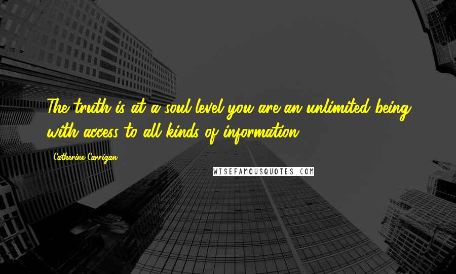 Catherine Carrigan Quotes: The truth is at a soul level you are an unlimited being with access to all kinds of information.