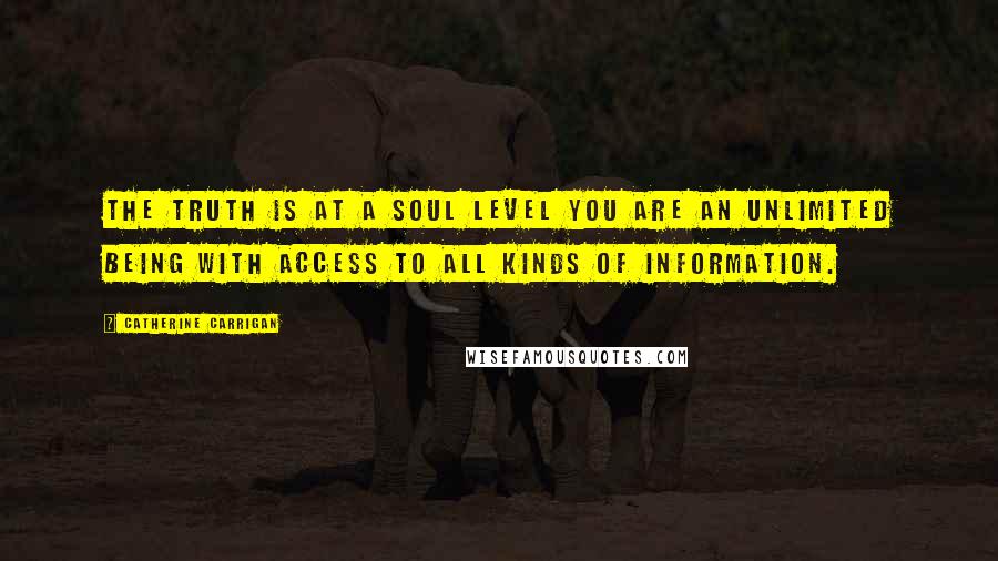 Catherine Carrigan Quotes: The truth is at a soul level you are an unlimited being with access to all kinds of information.