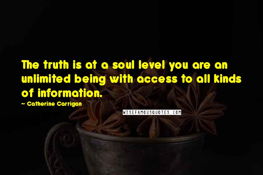 Catherine Carrigan Quotes: The truth is at a soul level you are an unlimited being with access to all kinds of information.