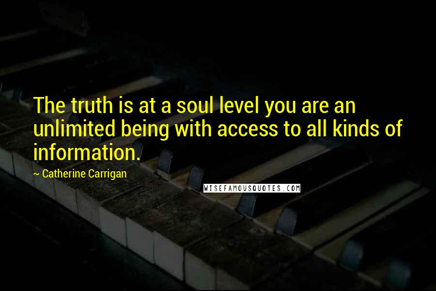 Catherine Carrigan Quotes: The truth is at a soul level you are an unlimited being with access to all kinds of information.