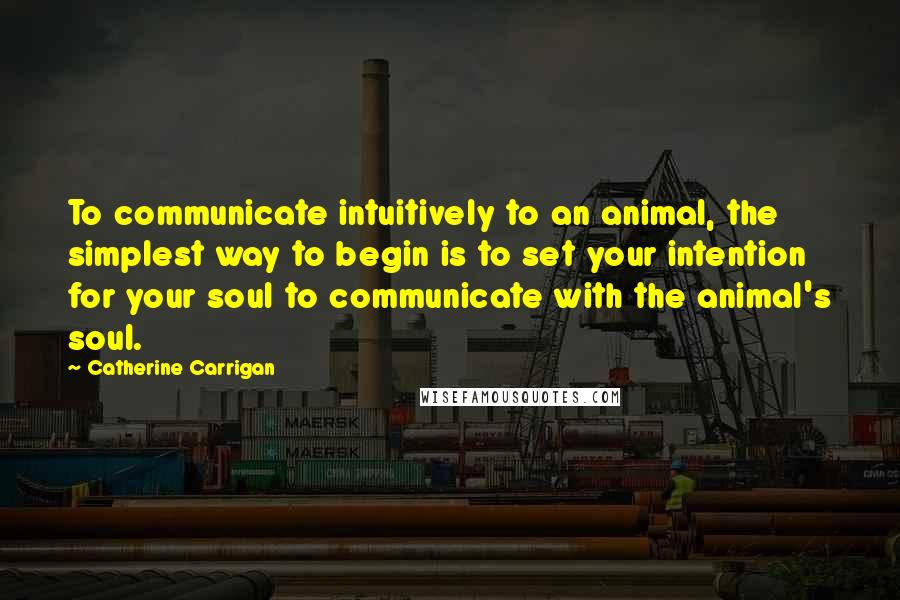 Catherine Carrigan Quotes: To communicate intuitively to an animal, the simplest way to begin is to set your intention for your soul to communicate with the animal's soul.