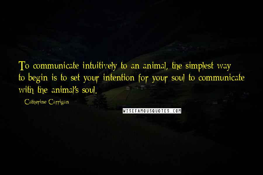 Catherine Carrigan Quotes: To communicate intuitively to an animal, the simplest way to begin is to set your intention for your soul to communicate with the animal's soul.