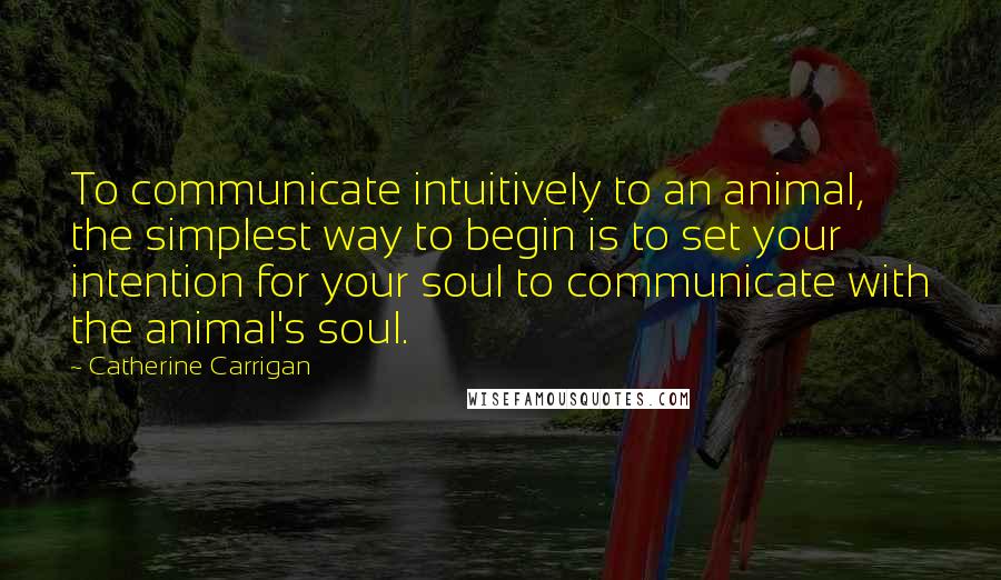 Catherine Carrigan Quotes: To communicate intuitively to an animal, the simplest way to begin is to set your intention for your soul to communicate with the animal's soul.