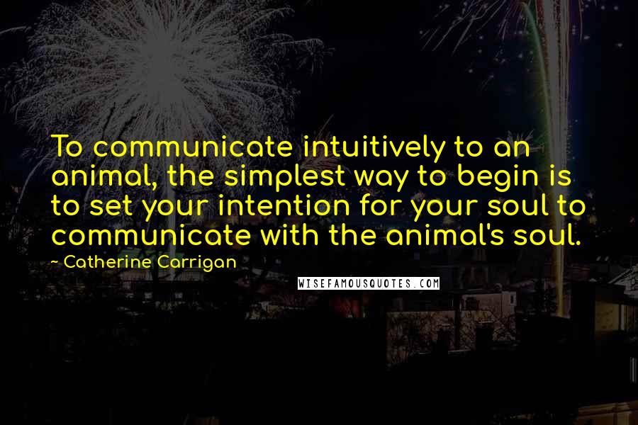 Catherine Carrigan Quotes: To communicate intuitively to an animal, the simplest way to begin is to set your intention for your soul to communicate with the animal's soul.